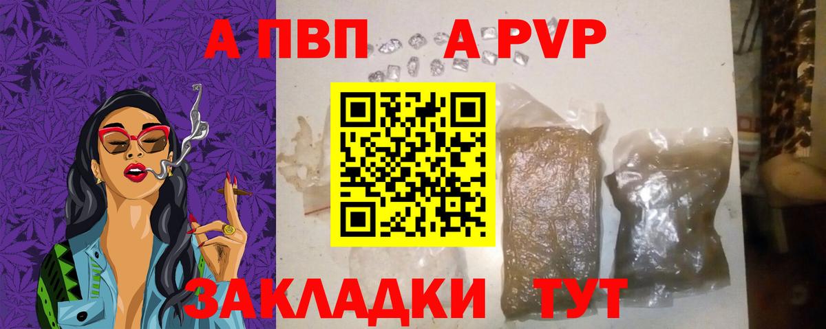 Альфа ПВП Моздок