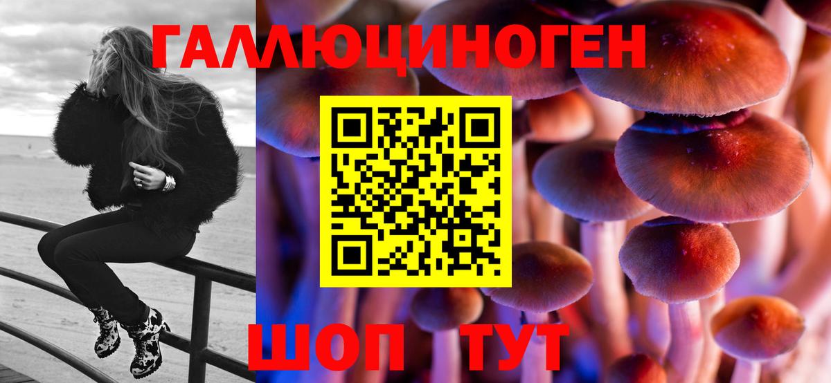 Псилоцибиновые грибы GOLDEN TEACHER  Вход с VPN  Моздок  Псилоцибиновые грибы прущие грибы 